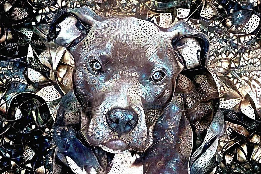 Nirvana the Pit Bull Abstract Art Digital Art by Peggy Collins