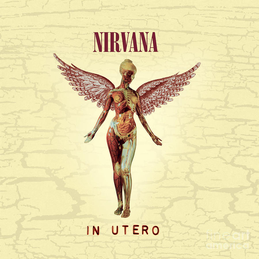Nirvana Utero album cover Photograph by Action