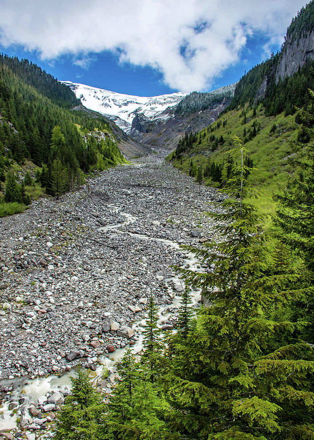Nisqually Glacier Path Photograph by Rebecca Higgins