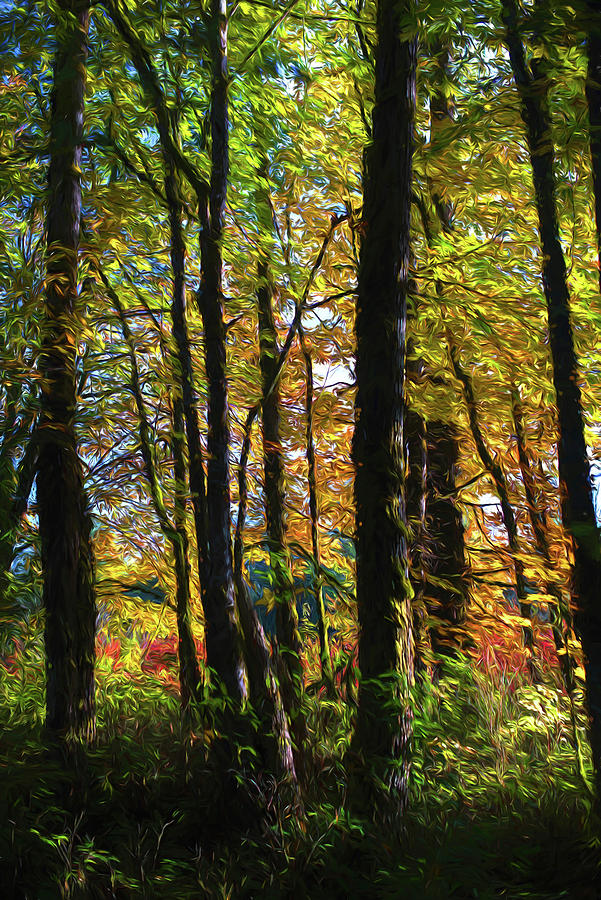 Nisqually Woods Digital Art by Greg Sigrist