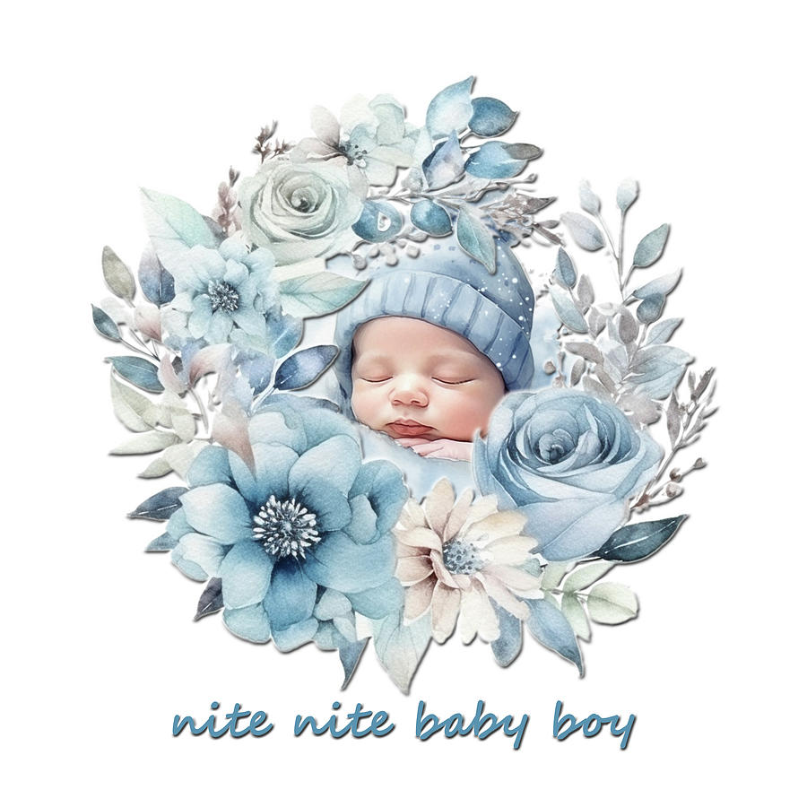 Nite Nite Baby Boy Digital Art by HH Photography of Florida