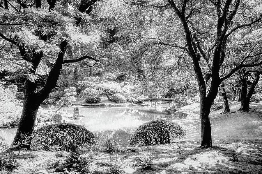 Nitobe Memorial Garden Photograph by Irene Moriarty