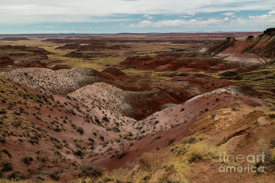 Painted Desert National Park Photograph - Nizhoni Pt. 8b9240L by Stephen Parker