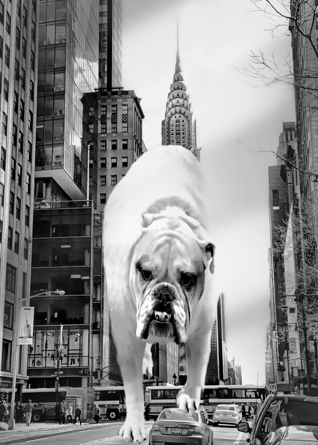 New York City Bull Photograph by Diana Angstadt