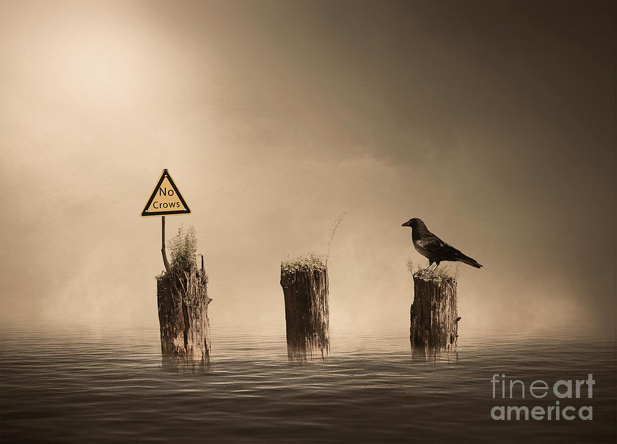 No Crows Digital Art by Jim Hatch