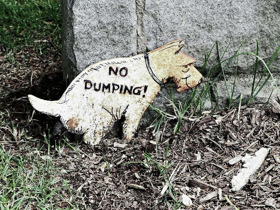 No Dumping Photograph by Sharon Williams Eng
