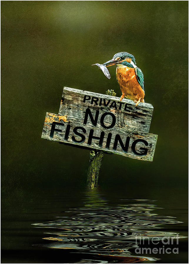 No Fishing Digital Art by Brian Tarr