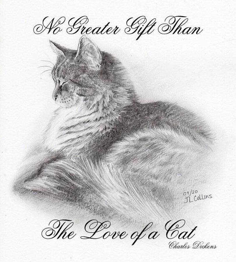 No Greater Gift Drawing by J L Collins