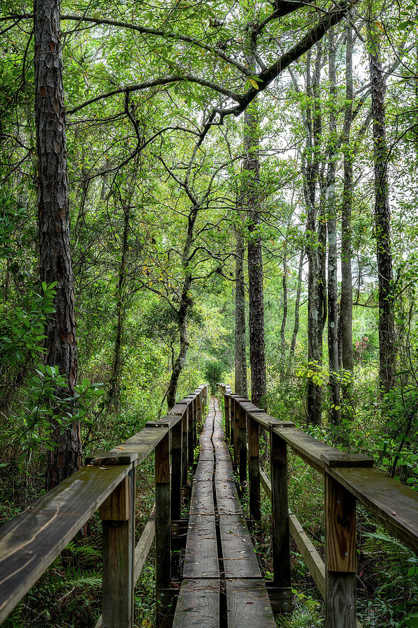 Landscape Photograph - No Passing Zone by Charles LeRette Landscape Photograph - No Passing Zone by Charles LeRette