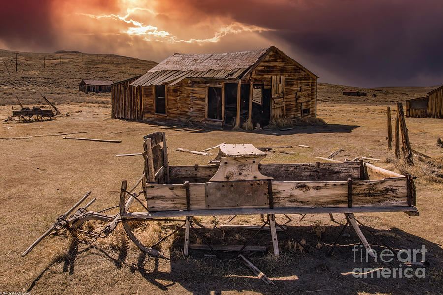 Landscape Photograph - No Snow For Christmas by Mitch Shindelbower