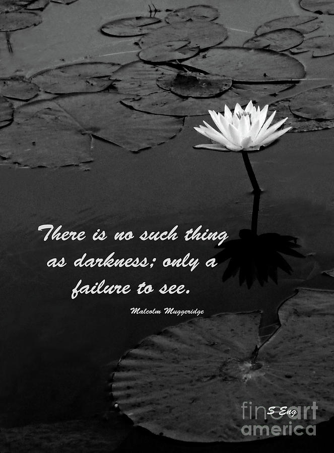 No Such Thing as Darkness Poster Painting by Sharon Williams Eng
