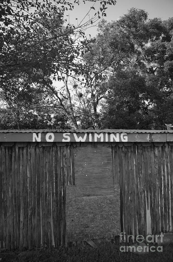 No Swiming Photograph by Andrea Smith