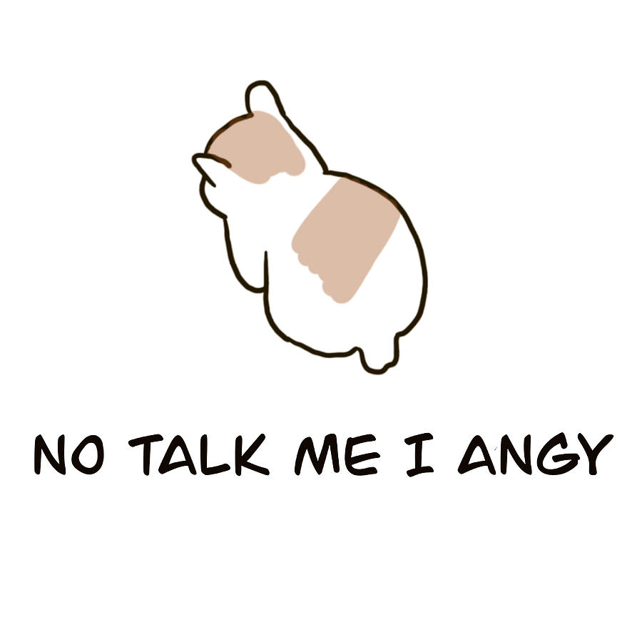 No Talk Me I Angy Cat Meme Poster girl Painting by Parker Ellie | Fine ...