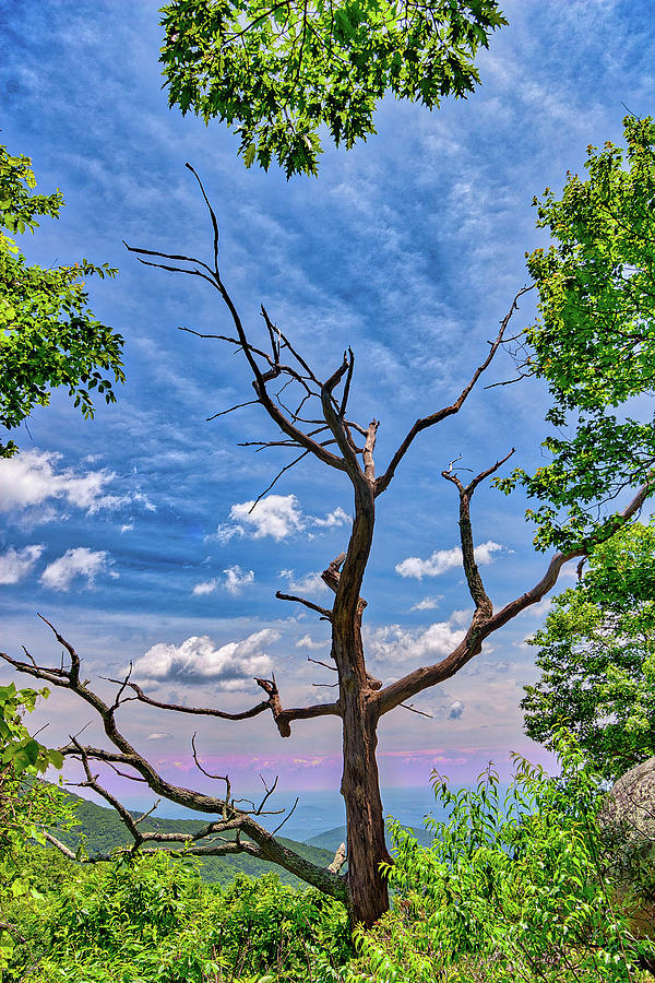 No Time Left Photograph by Dan Carmichael - Fine Art America