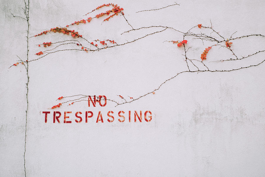 No Trespassing, Letchworth Village, Abandoned Mental Institution Photograph by Eugene Nikiforov