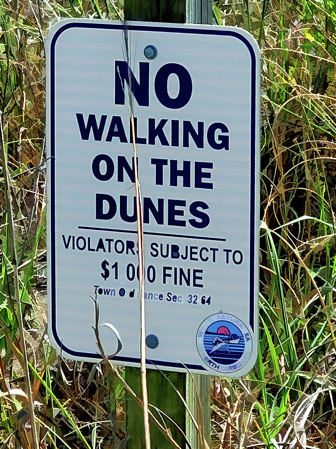 No Walking on the Dunes Photograph by Roberta Byram
