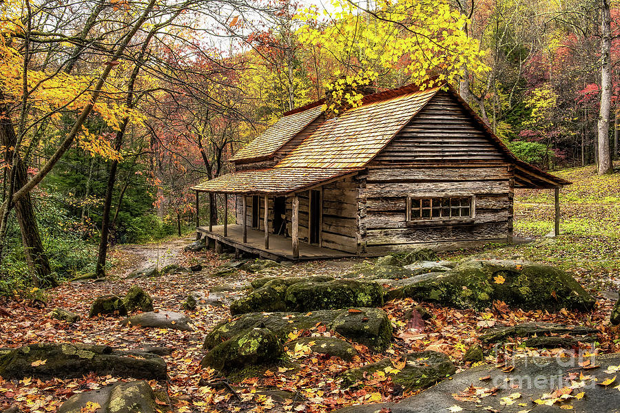 Ogle Place after good Spring Rain - Dogwoods Great Smoky Mountains