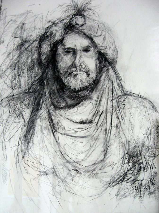 Noble Drawing by Barbara St John - Fine Art America