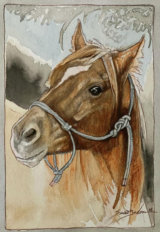 Horse Painting - Noble Brow by Susie Gordon