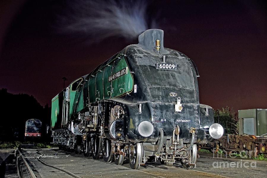 Nocturnal number nine. Photograph by David Birchall