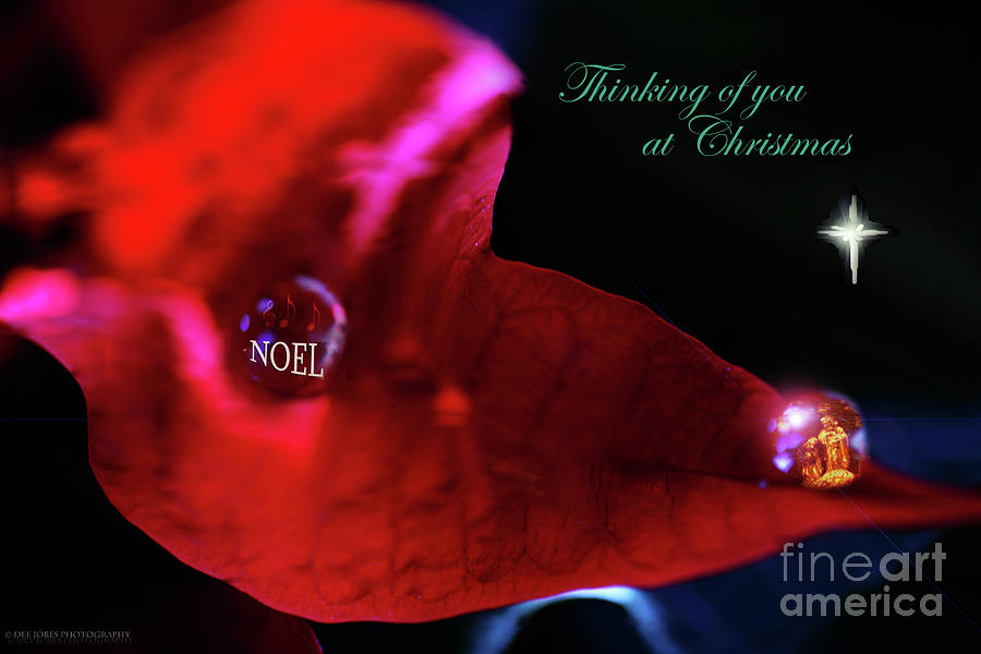 NOEL Christmas  Art 5 Mixed Media by Dee Jobes Photography