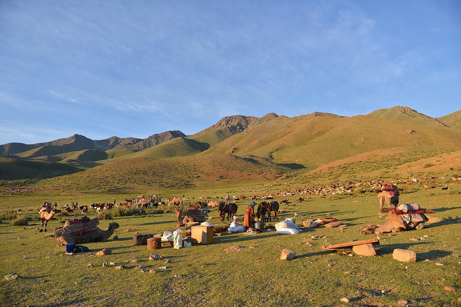 Nomad Photograph by Bat-Erdene Baasansuren