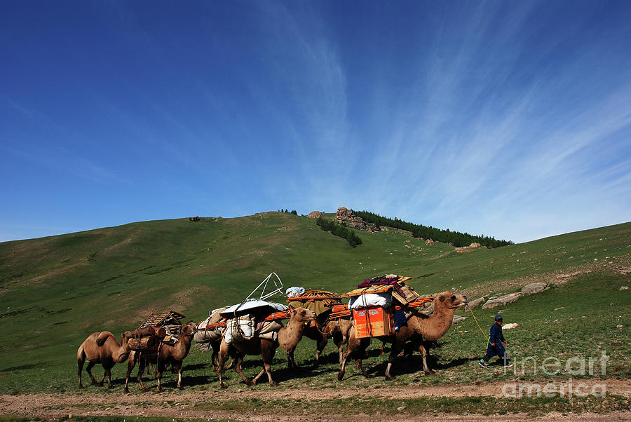 Nomadic family Photograph by Elbegzaya Lkhagvasuren