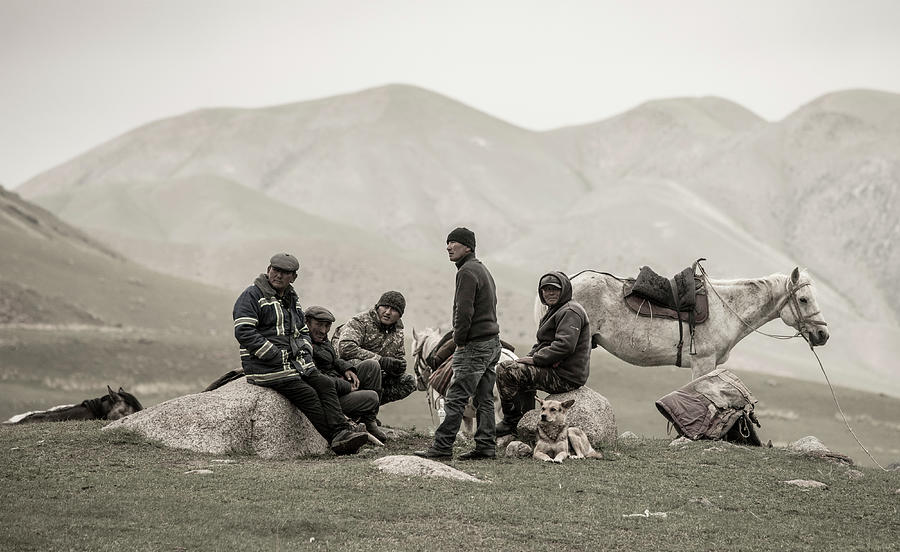 grey nomads travelling with dogs