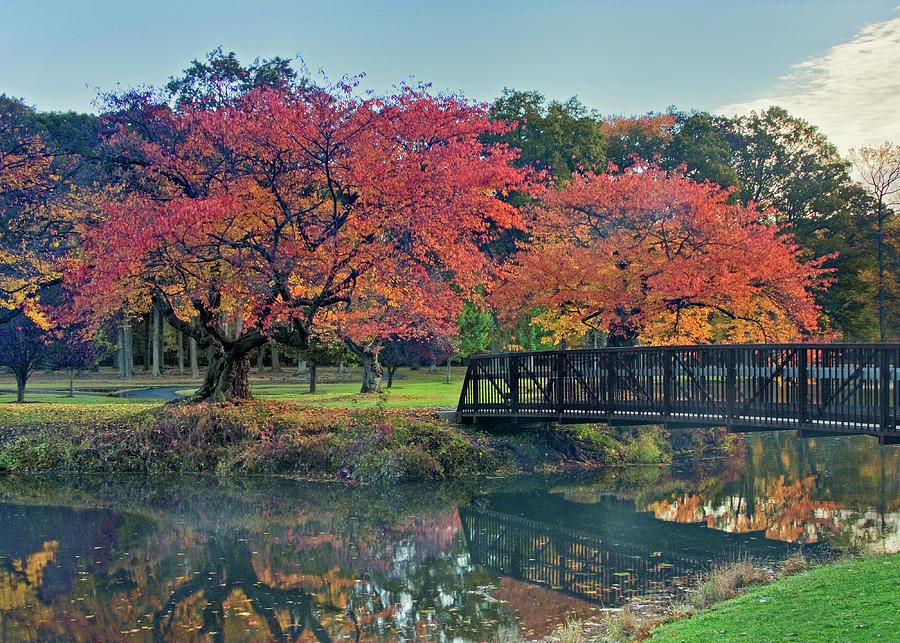 Nomahegan Park in Autumn 2 Photograph by David DesRochers Pixels