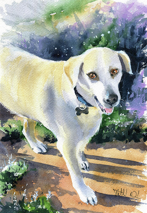 Nonami Dog Painting Painting by Dora Hathazi Mendes