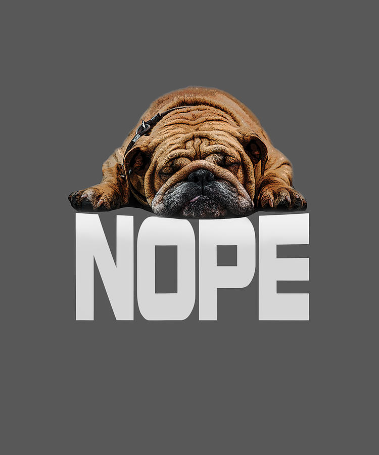 Nope Lazy English Bulldog Funny Lazy Dog Lover Gift T-Shirt Digital Art by  Katie Tholke - Pixels