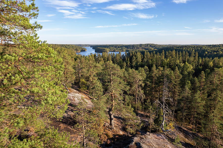 Nordic landscape Photograph by Julius Jansson - Fine Art America