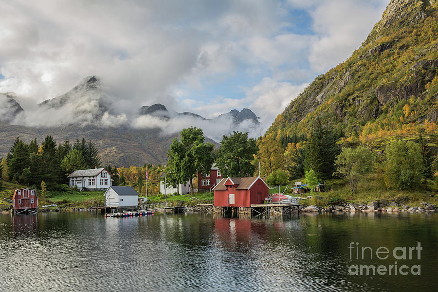 Nordland Morning Photograph by Eva Lechner