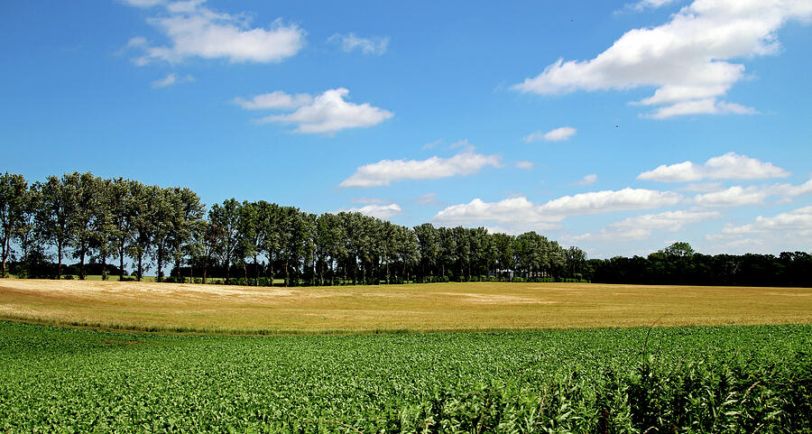 Norfolk Countryside Photograph by Judith Rowe