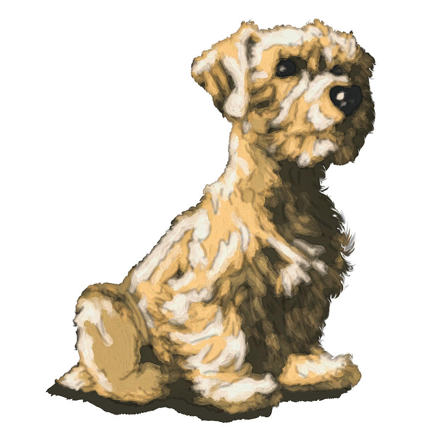 Norfolk Terrier Digital Art by John Haldane