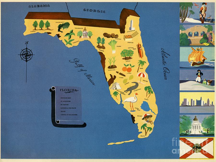 Norman Reeves - Florida - Pageant of the States - 1938 Digital Art by Vintage Map
