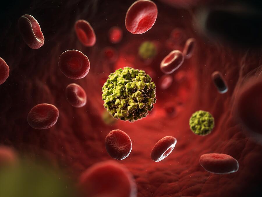 Norovirus infection, artwork Drawing by Science Photo Library - SCIEPRO