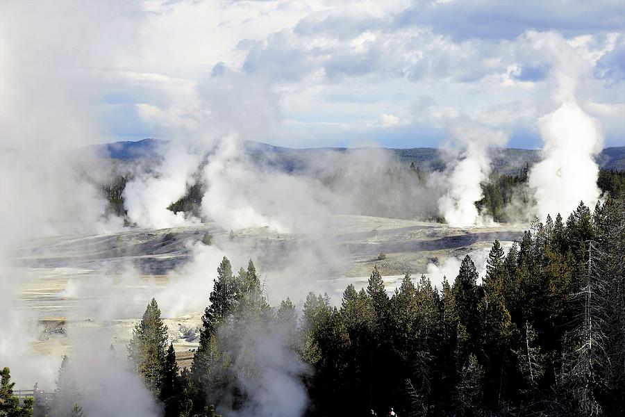 Norris Geyser Basin in Yellowstone Photograph by Tranquil Light Photography