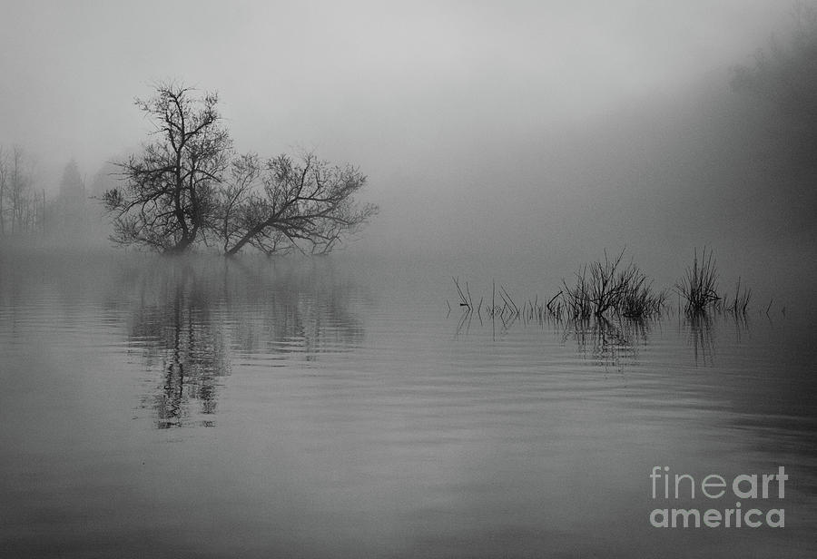 Norris Lake 2015 7 Photograph by Douglas Stucky