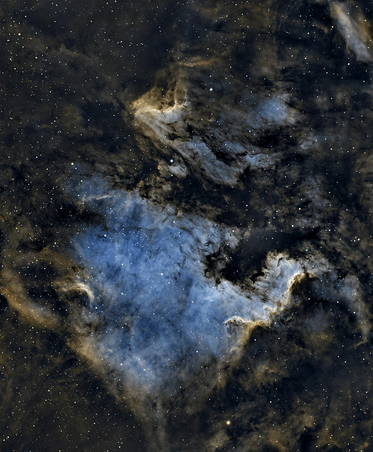 North America and Pelican Nebula in Cygnus Photograph by Brian Weber