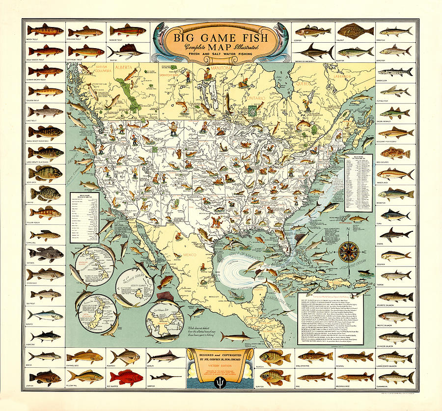 North America Game Fish Digital Art by Gary Grayson
