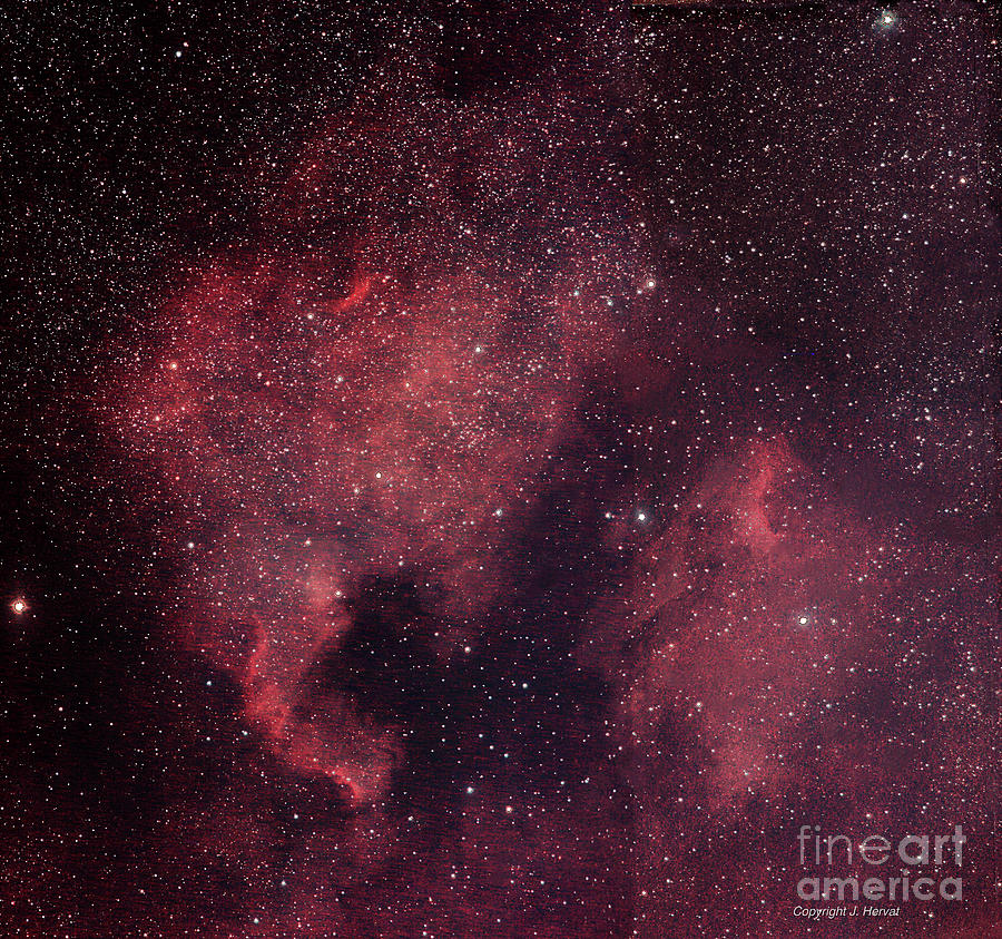 North America Nebula and Pelican Nebula Photograph by James Hervat