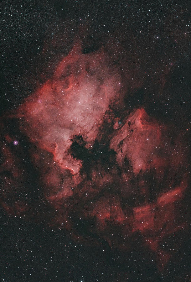 North America Nebula Photograph by Grant Twiss North America Nebula Photograph by Grant Twiss