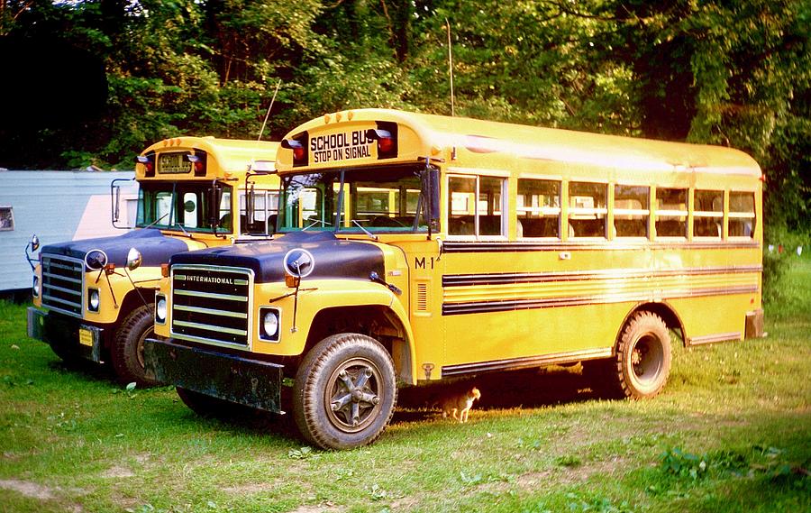 North American School Buses 1984 Photograph by Gordon James