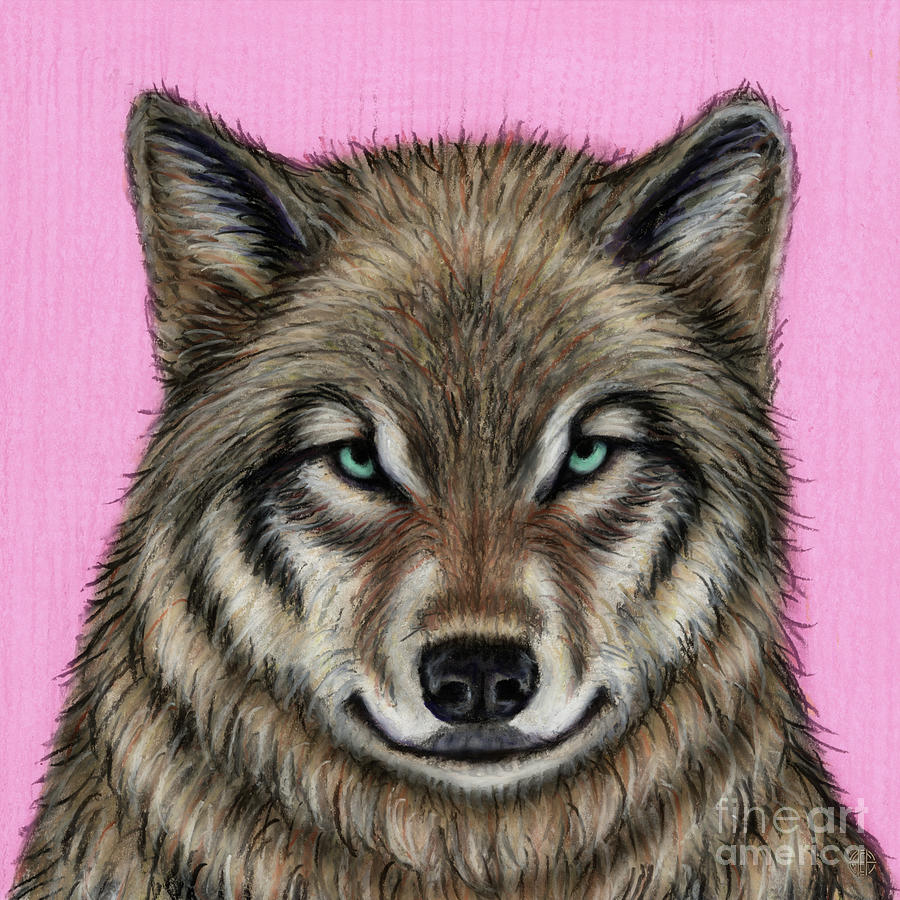 North American Wolf Painting by Amy E Fraser