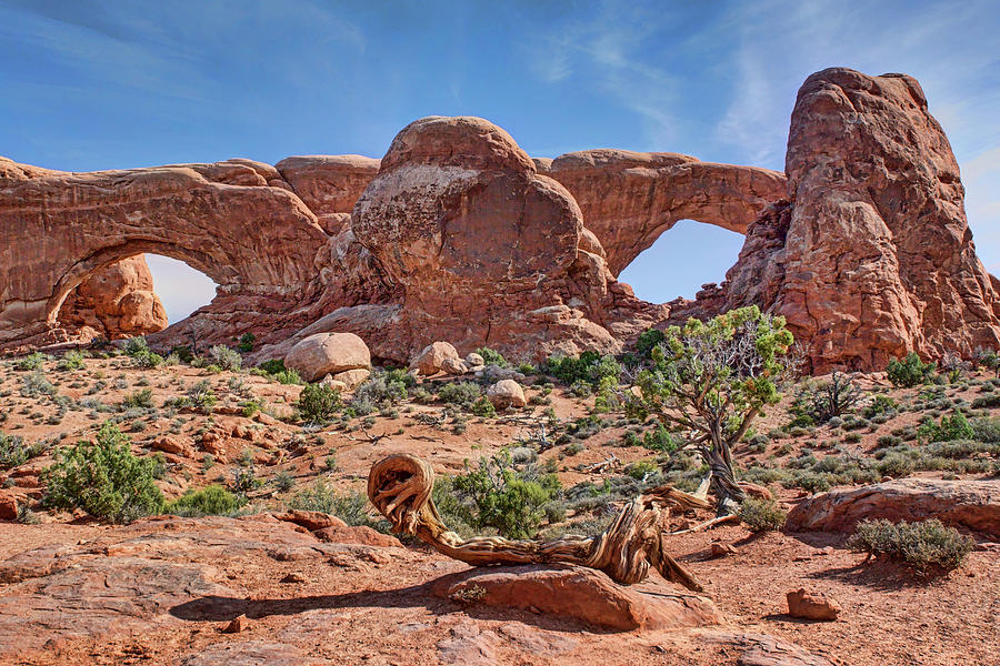 North and South Windows - Arches National Park Photograph by Nikolyn McDonald