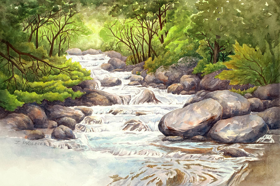 North Boulder Creek Painting by Joan Wolbier