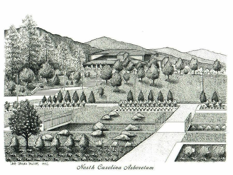 North Carolina Arboretum Drawing - North Carolina Arboretum by Lee Pantas North Carolina Arboretum Drawing - North Carolina Arboretum by Lee Pantas