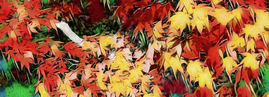 North Carolina Autumn Fall Colors Panorama ap 108 Photograph by Dan Carmichael