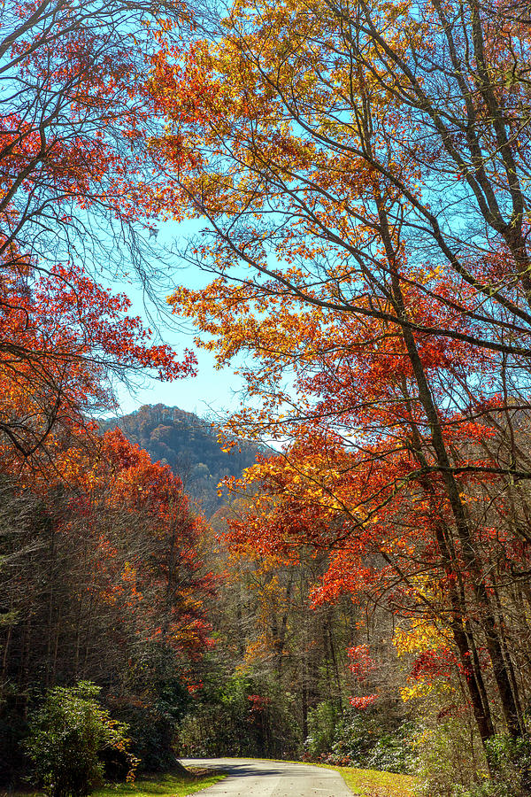 North Carolina Autumn Photograph by W Chris Fooshee